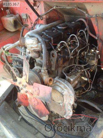 250 doç fındık motor