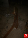 Oto Çıkma Parça / Kaporta & Karoser / Dış Ayna Komple / Ford / Transit Connect / Çıkma Parça 