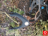 Oto Çıkma Parça / Elektrik / Sigorta Kutusu / Honda / Civic / Çıkma Parça 