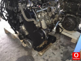 Oto Çıkma Parça / Motor / Motor Komple / Fiat / Ducato / Çıkma Parça 