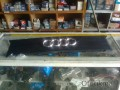 AUDİ 80 PANCUR  OTO FİKRETTE