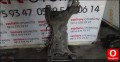 mazda çıkma yedek parça mazda 3 motor traver beşik 