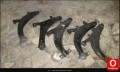 subaru çıkma yedek parça ımpreza salıncak