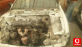 Nissan  Primera  Klima    Takım Klima