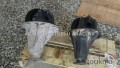 MİTSUBİSHİ L200 4X2 ÇIKMA 5 BİJON