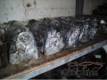 PARTNER 1,9 KAPAK SİLİNDİR KAPAK BULUNUR