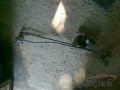 MERSEDES ATEGO ÇIKMA ÖN CAM SİL MOTORU