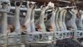TOYOTA ÇIKMA ARKA DİNGİLLER