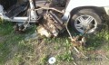 Ford escort sağ sol ön taşıyıcı