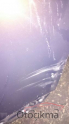 Oto Çıkma Parça / Kaporta & Karoser / Kapı / Renault / Fluence / Çıkma Parça 