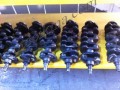 Oto Çıkma Parça / Motor / Krank / Opel / Astra / Çıkma Parça 