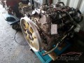 Oto Çıkma Parça / Motor / Motor Komple / Mitsubishi / Carisma / Çıkma Parça 