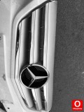 Oto Çıkma Parça / Kaporta & Karoser / Panjur / Mercedes / 220 / Çıkma Parça 
