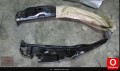 Oto Çıkma Parça / Kaporta & Karoser / Kapı Sacı / Mitsubishi / Canter / Çıkma Parça 