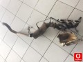 Oto Çıkma Parça / Porsche / Panamera / Egzoz / Katalitik Konvertör / Çıkma Parça 