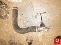 Oto Çıkma Parça / Isıtma, Soğutma & Klima / Termostat / Ford / Sierra / Çıkma Parça 