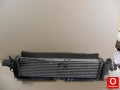 Oto Çıkma Parça / Isıtma, Soğutma & Klima / Intercooler Radyatörü / Infiniti / FX / Çıkma Parça 