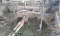 Oto Çıkma Parça / Alt Takım & Direksiyon / Travers / Rover / 216 / Çıkma Parça 