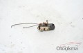 Oto Çıkma Parça / Mekanik / Kapı Kilidi / Toyota / Auris / Çıkma Parça 