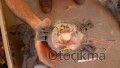 Oto Çıkma Parça / Elektrik / Sis Farı / Jaguar / X-Type / Çıkma Parça 