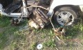 Oto Çıkma Parça / Alt Takım & Direksiyon / Viraj Demiri / Ford / Escort / Çıkma Parça 