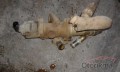 Oto Çıkma Parça / Ateşleme & Yakıt / EGR Valfi / Opel / Combo / Çıkma Parça 