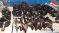 Oto Çıkma Parça / Motor / Krank / Toyota / Corolla / Çıkma Parça 