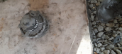 KIA SEPHIA KALORİFER MOTOR