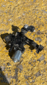 OPEL CORSA E ARKA SİLECEK MOTORU SÖKME 39176498 CANCAN OPEL