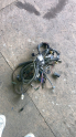 Opel Astra F 1.4 motor elektrik tesisatı