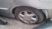 Nissan Primera Jant Çelik Jant
