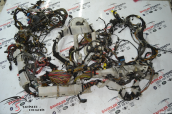 Oto Çıkma Parça / Elektrik / Elektrik Tesisatı / BMW / X5 / Çıkma Parça 