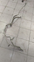 peugeot 207 çıkma kllima boruları