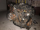 Oto Çıkma Parça / Motor / Motor Komple / Ford / Transit Connect / Çıkma Parça 