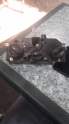 FIAT MAREA KILIMA PANELI