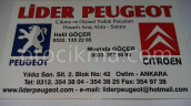 Oto Çıkma Parça / Alt Takım & Direksiyon / Arka Dingil / Citroen / C3 / Çıkma Parça 