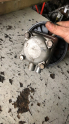 Oto Çıkma Parça / Alt Takım & Direksiyon / Direksiyon Pompası / Volvo / S40 / Çıkma Parça 