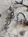 Honda Euro Civic ies motor içi elektrik tesisatı