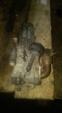 audi 2.0 çıkma egr