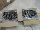 BMW 1 F20 Sağ Sol Izgara Böbrek 51137262118 51137262117