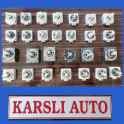 AUDİ ZENON AMPUL ÇIKMA YEDEK PARÇA