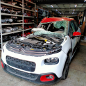 Citreon c3 ön panjur nikelajlı