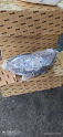 PEUGEOT 508 SOL FAR SIFIR
