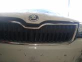 SKODA RAPİD ön PANJUR