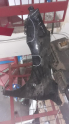 RENAULT LATİTUDE SOL ÇAMURLUK ORJİNAL ÇIKMA  PARÇALAR