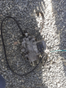 Mercedes sprinter 312 5v piston turbolu çıkma  mazot pompası