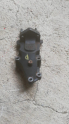 Chevrolet Rezzo 1.4 1.6 Sağ Motor Üst Kulak Takoz