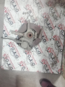 Clio Aks Taşıyıcı Sağ Ön Komple 7700419548