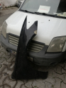 AUDİ A6 SAG ÇAMURLUK