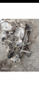 D15B3 HONDA CİVİC ÇIKMA OTOMATİK ŞANZIMAN